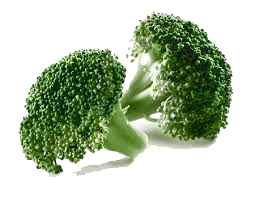 Broccoli Rosette 2,5 Kg