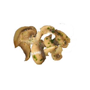 Funghi Champignon trifolati dal Fresco Kg1,7demetr