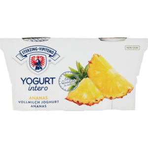 Yogurt Ananas Gr 125x2