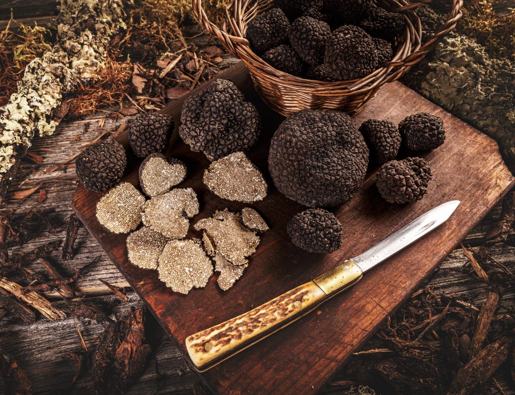 prodotto umbro Black truffle with knife